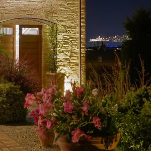 - La Campagna Di San Francesco , Assisi Italia